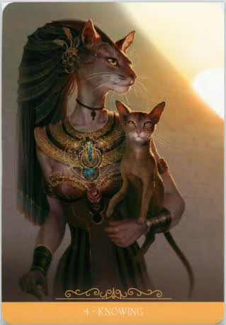 Fantasy Cats Oracle